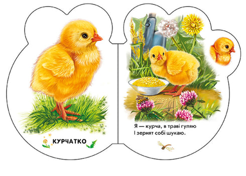 На подвір'ї